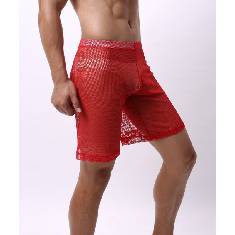 Low Rise Mesh Erotic Underwear - Trunk Breathable Men ulasan dan harga