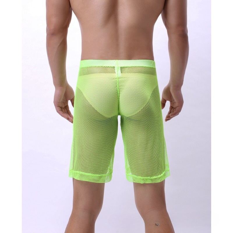 Low Rise Mesh Erotic Underwear - Trunk Breathable Men ulasan dan harga